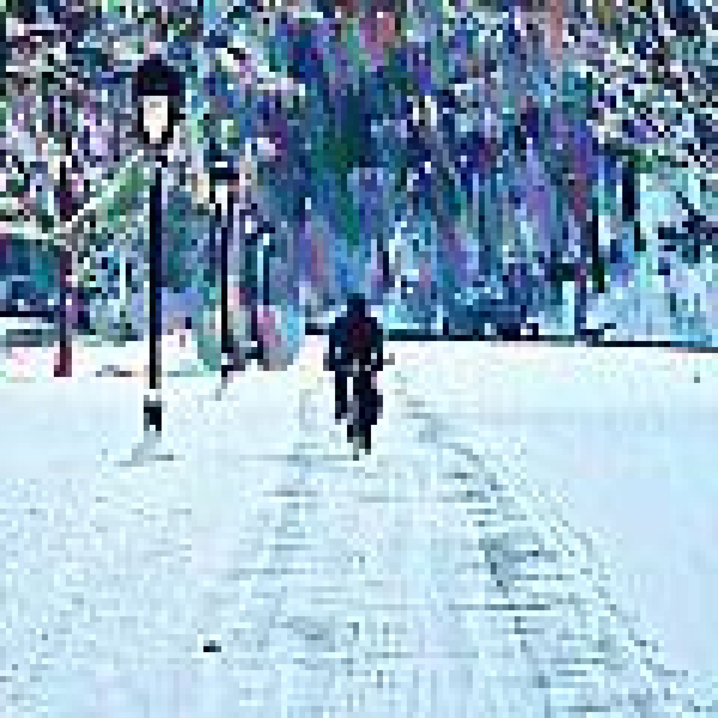 bike-riding-in-the-snow-bill-cannon.jpg