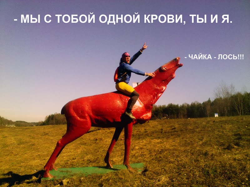 RRSRe_800.jpg