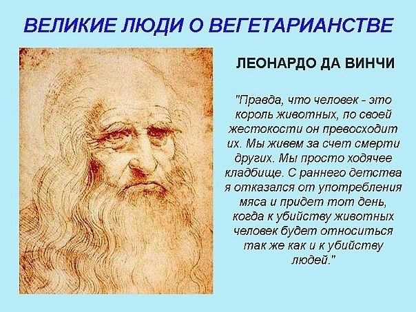 x_d1451990.jpg