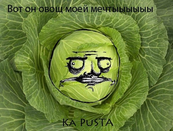 x_4b45d912.jpg