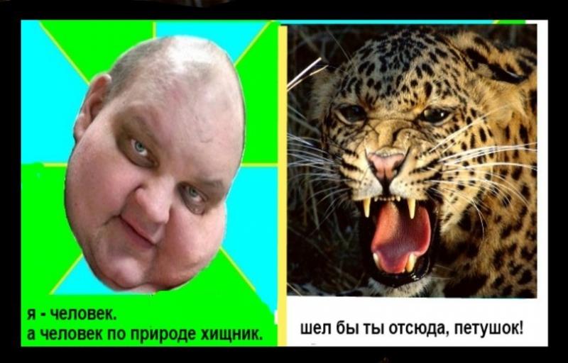 omC9_kR78bs.jpg