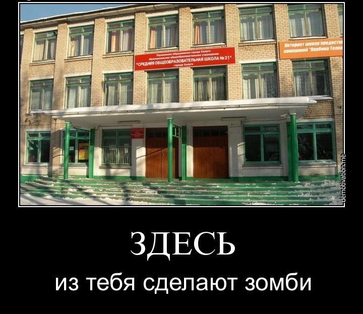 Директор школы на Сахалине уволился после пикета против третьеклассника Новости