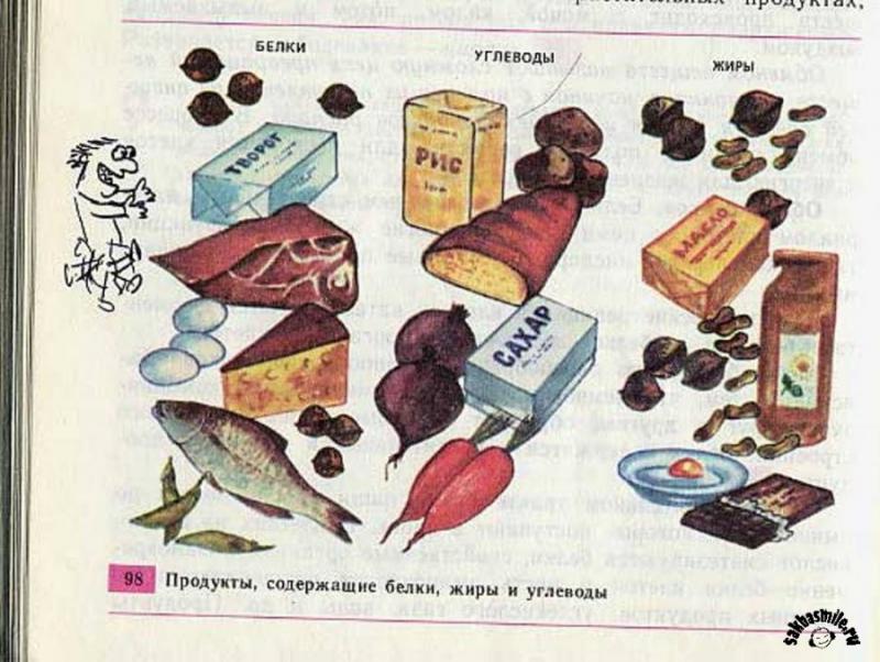 1322973437_biol_190.jpg