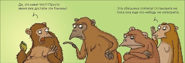 Bk1RCHI7CdU.jpg