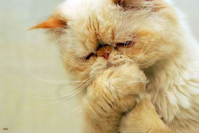 1349164512_acid_picdump_73.jpg