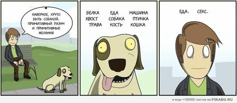 J5joRAJ_DDE.jpg