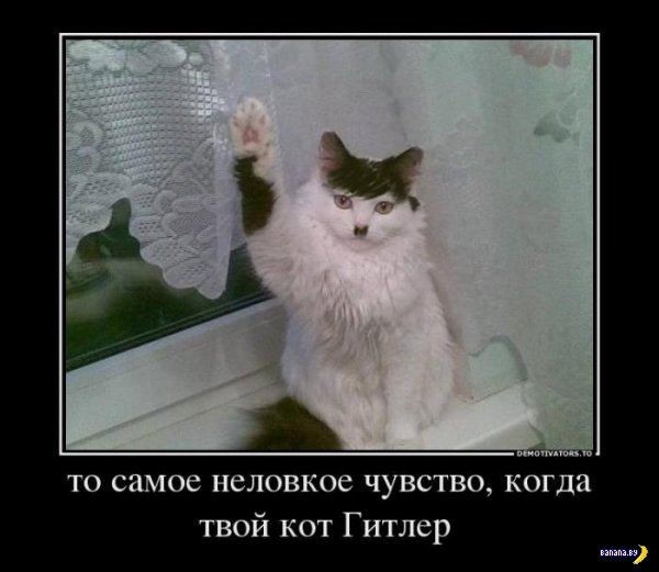 1349680597_demotivators_43.jpg