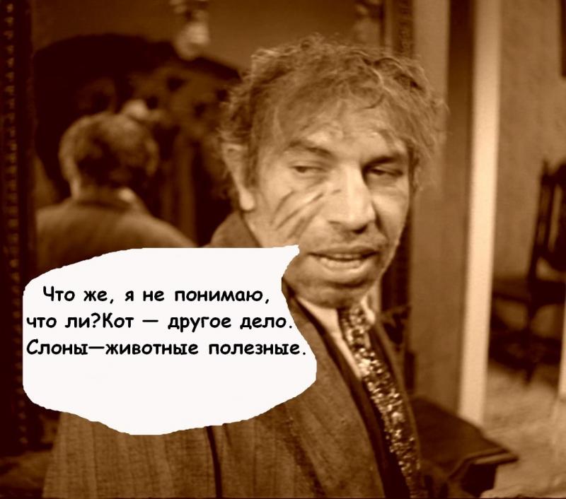 slon.jpg