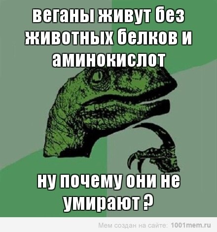 rUlW7DTT0XM.jpg