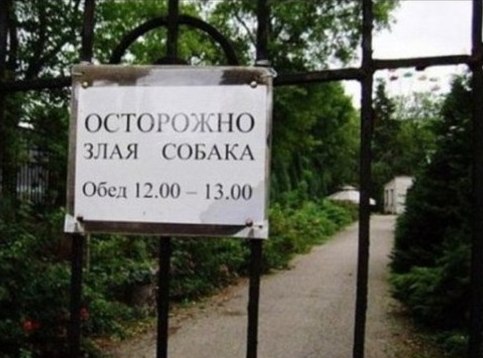 bhfOR8o1OzA.jpg