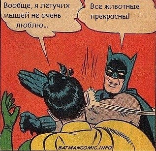 OFz2WGhuu94.jpg