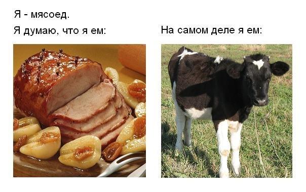 dF4xOe9PlYU.jpg