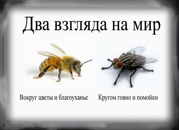 x2SQCTxjRy8.jpg