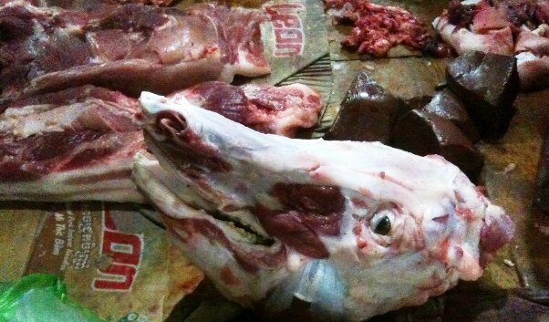 cows-head.jpg