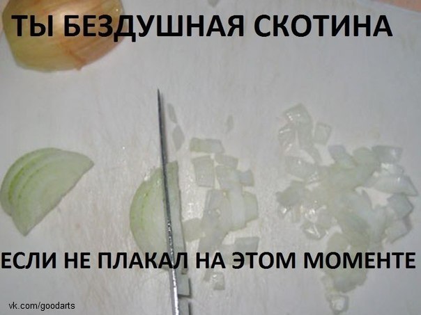 sOt_AxJI5F8.jpg