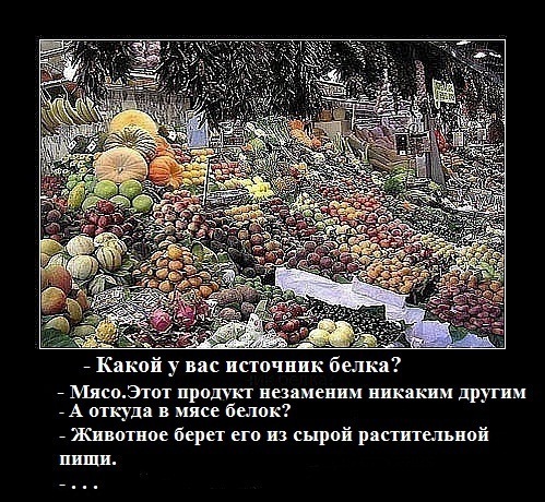 x_191593ca.jpg