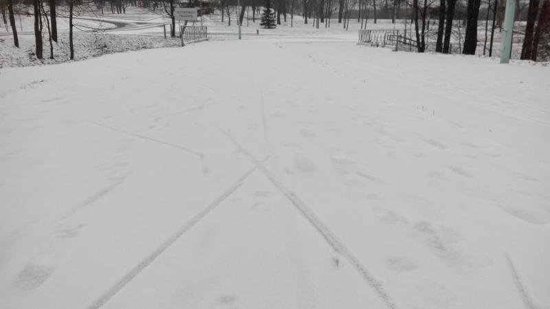 IMG_20141127_133716.jpg