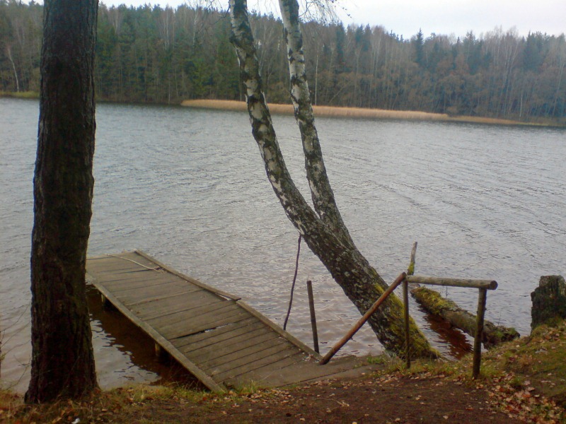 DSC02972.JPG
