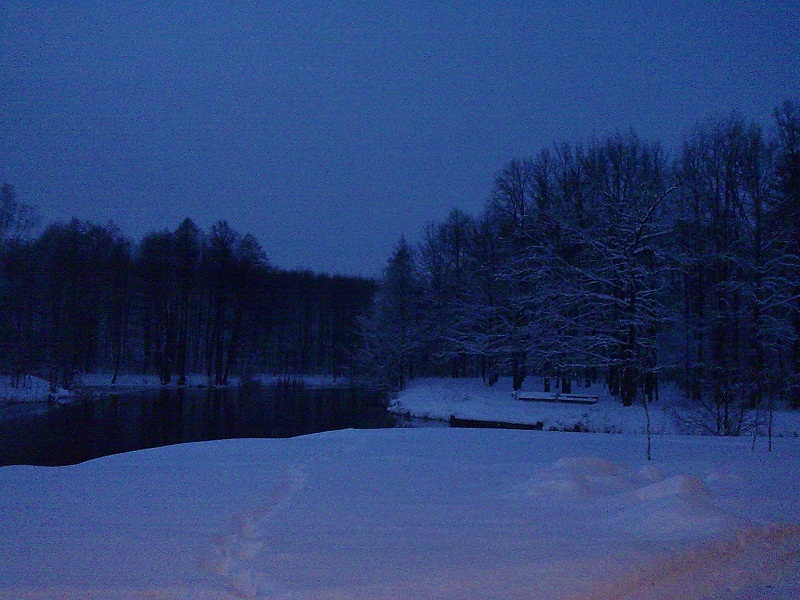 3_196.jpg