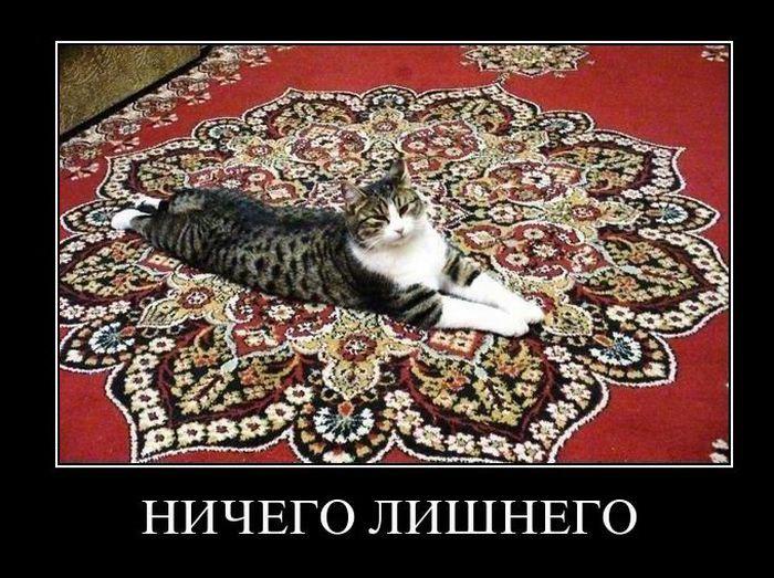 dem2012_-_002.jpg