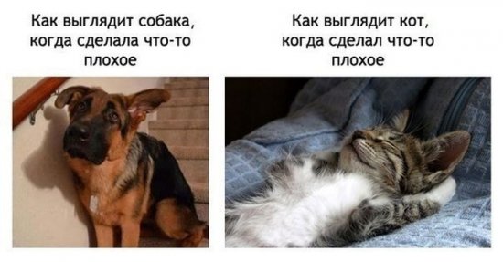 975_podborka_84.jpg