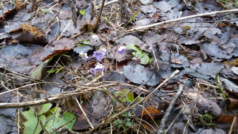 20160409_134158.jpg