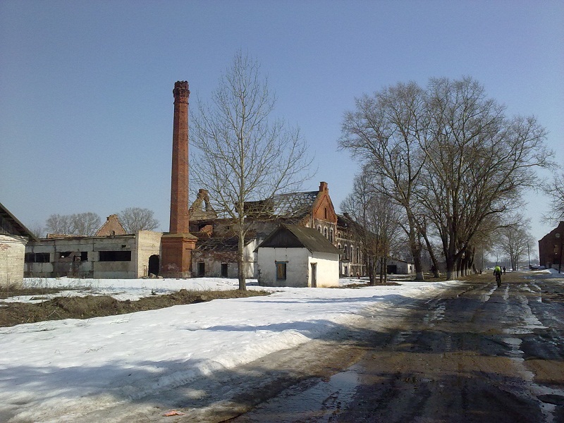 Img265_2.jpg