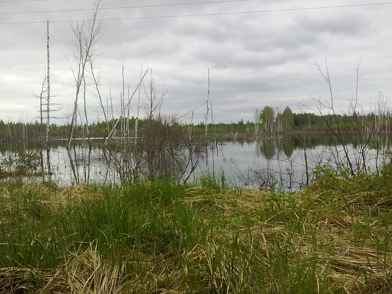 Img417.jpg