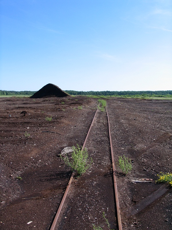 Izobrazhenie_105_2.jpg