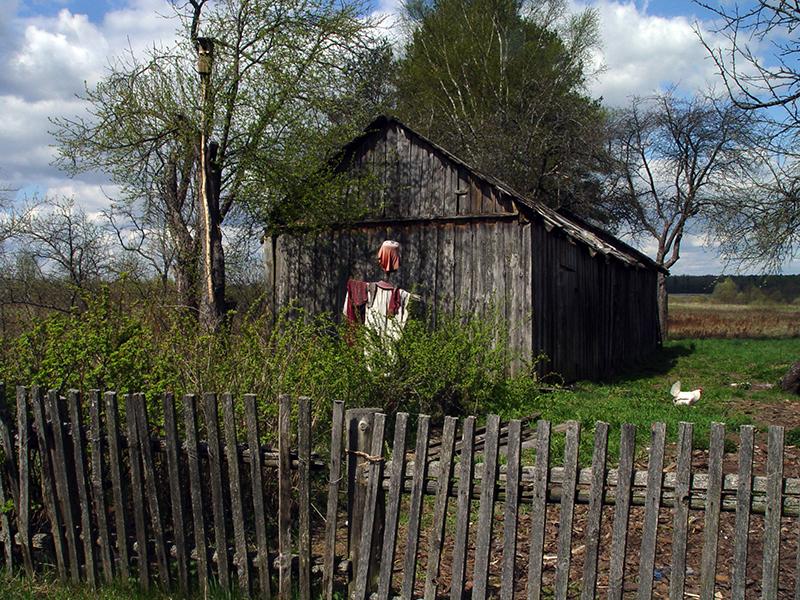 Lonna08.jpg