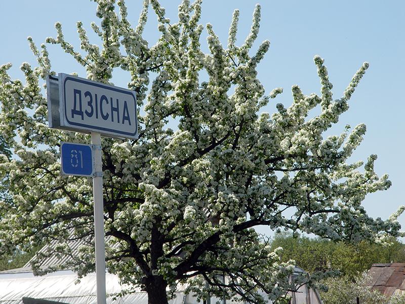 Drysa-Dzisna11.jpg