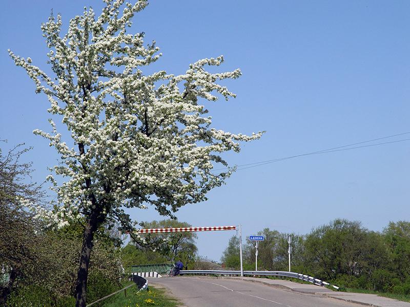 Drysa-Dzisna14.jpg