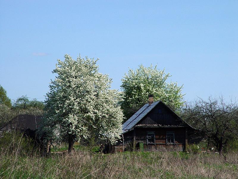 Drysa-Dzisna15.jpg
