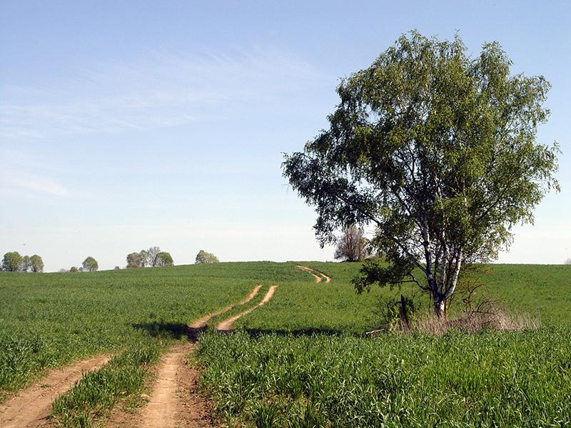 Drysa-Dzisna16.jpg