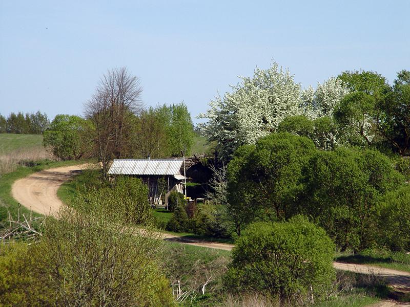 Drysa-Dzisna19.jpg