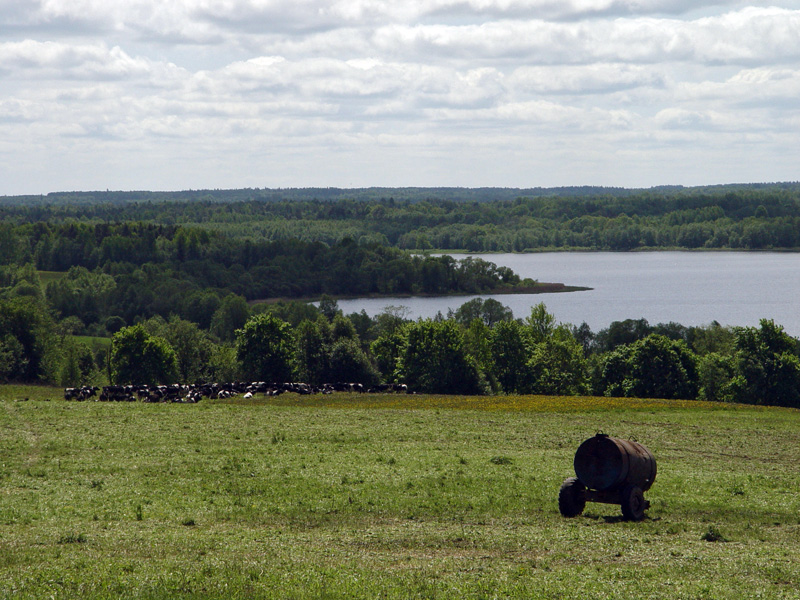 Selishcha04.jpg