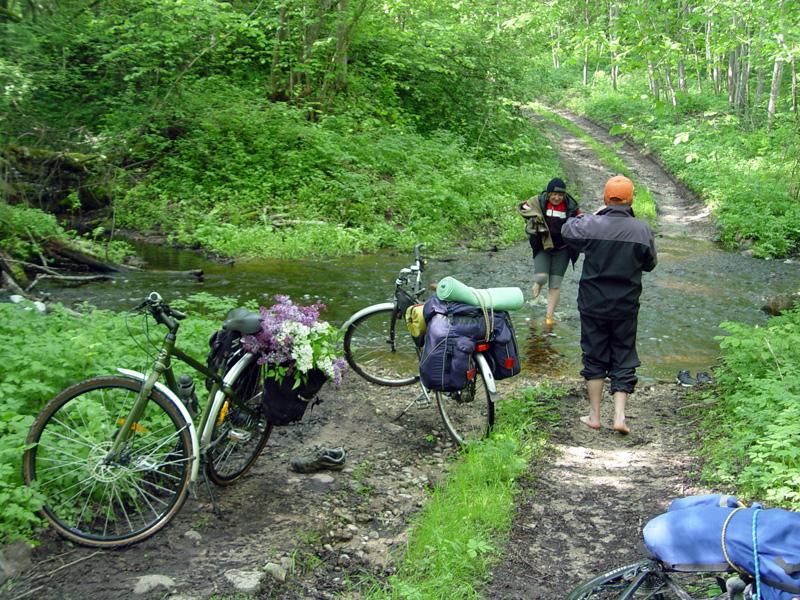 Selishcha07.jpg