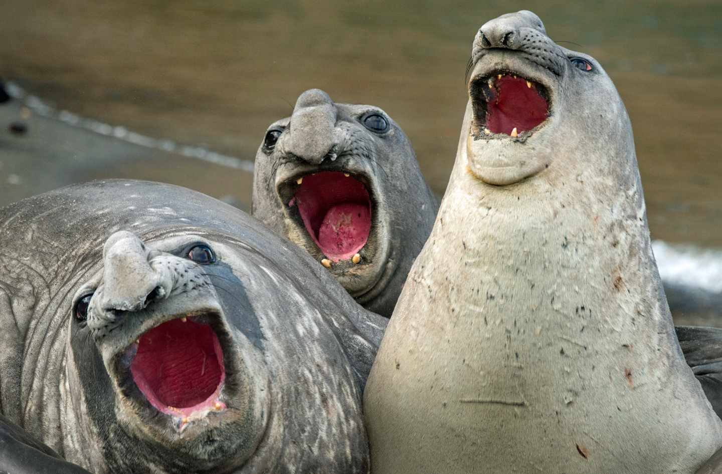 Image not setted in DB user_id: 31655, image_id: 225053