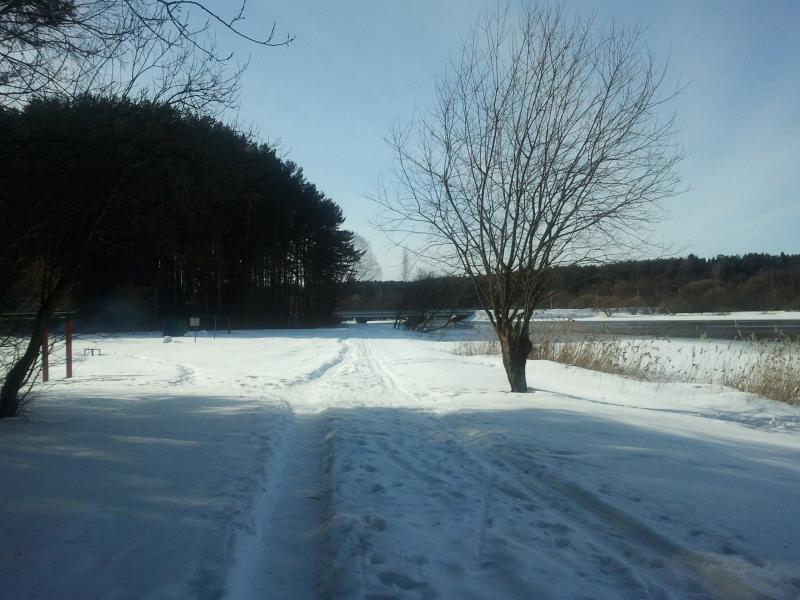 2013-03-08_14.54.11.jpg