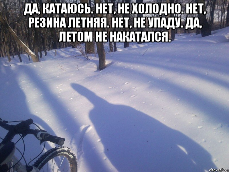 4457.jpg