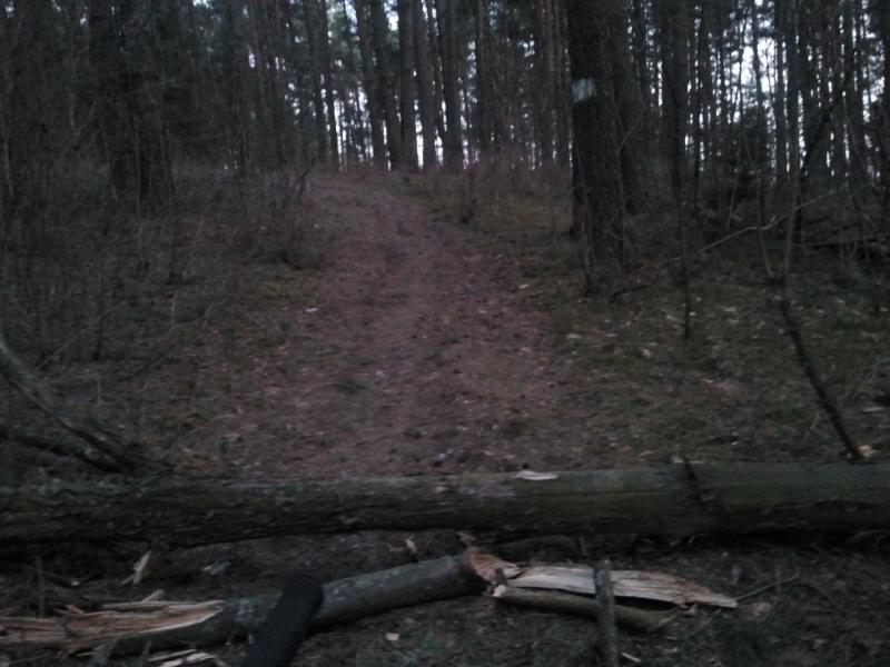2014-03-24_19.38.56.jpg