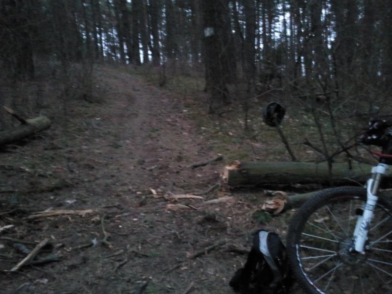 2014-03-25_19.46.05.jpg