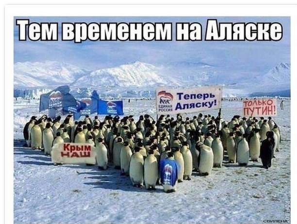1396308810_1-37.jpg