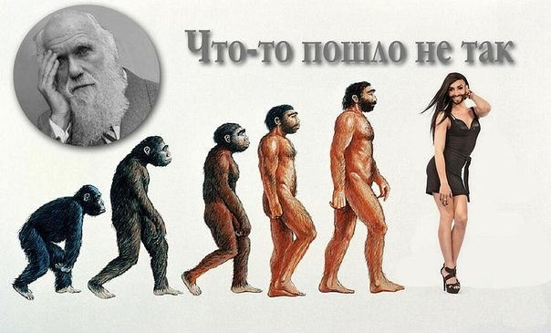 112_8.jpg
