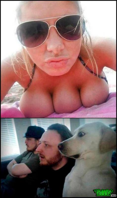 TIT.jpg