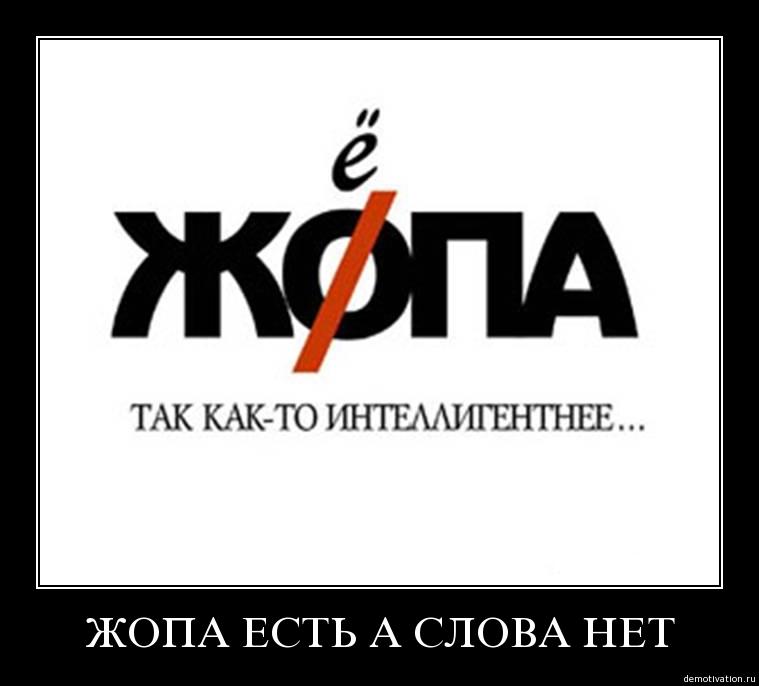 zhopa.jpg