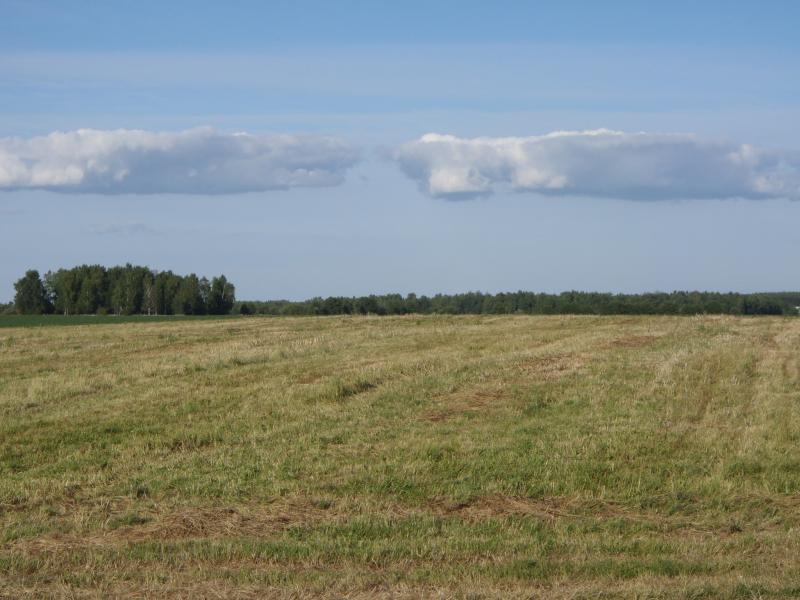 P6261978.jpg