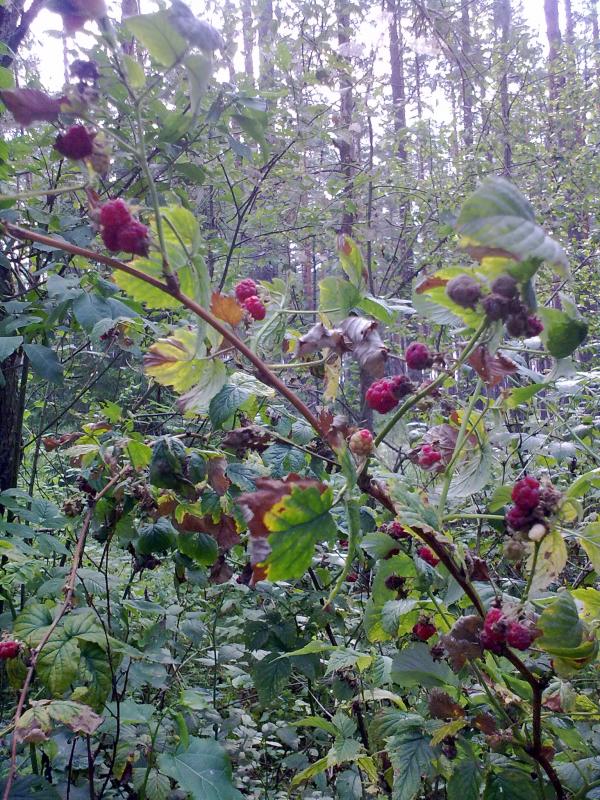 300720111711.jpg