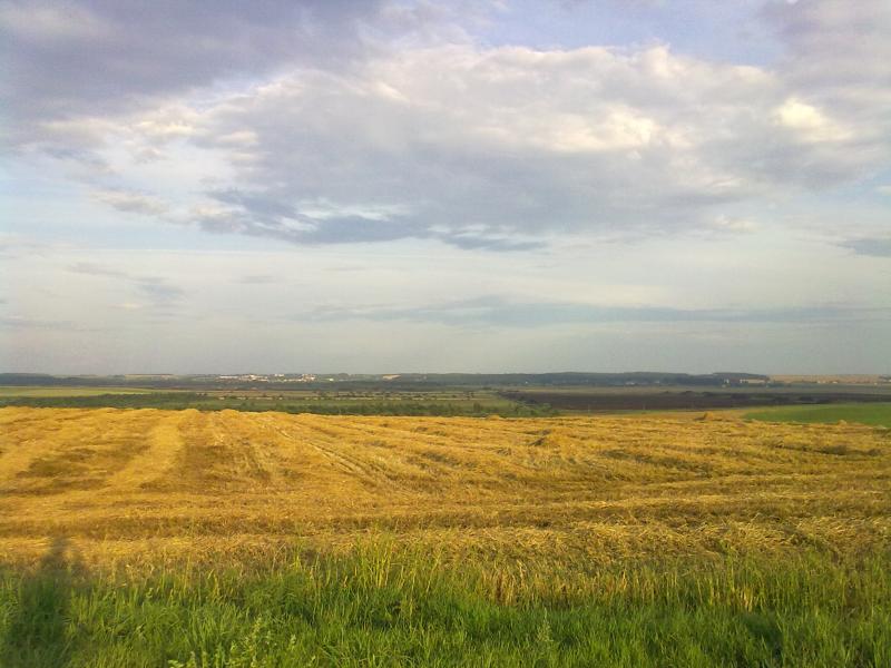 310720111750.jpg