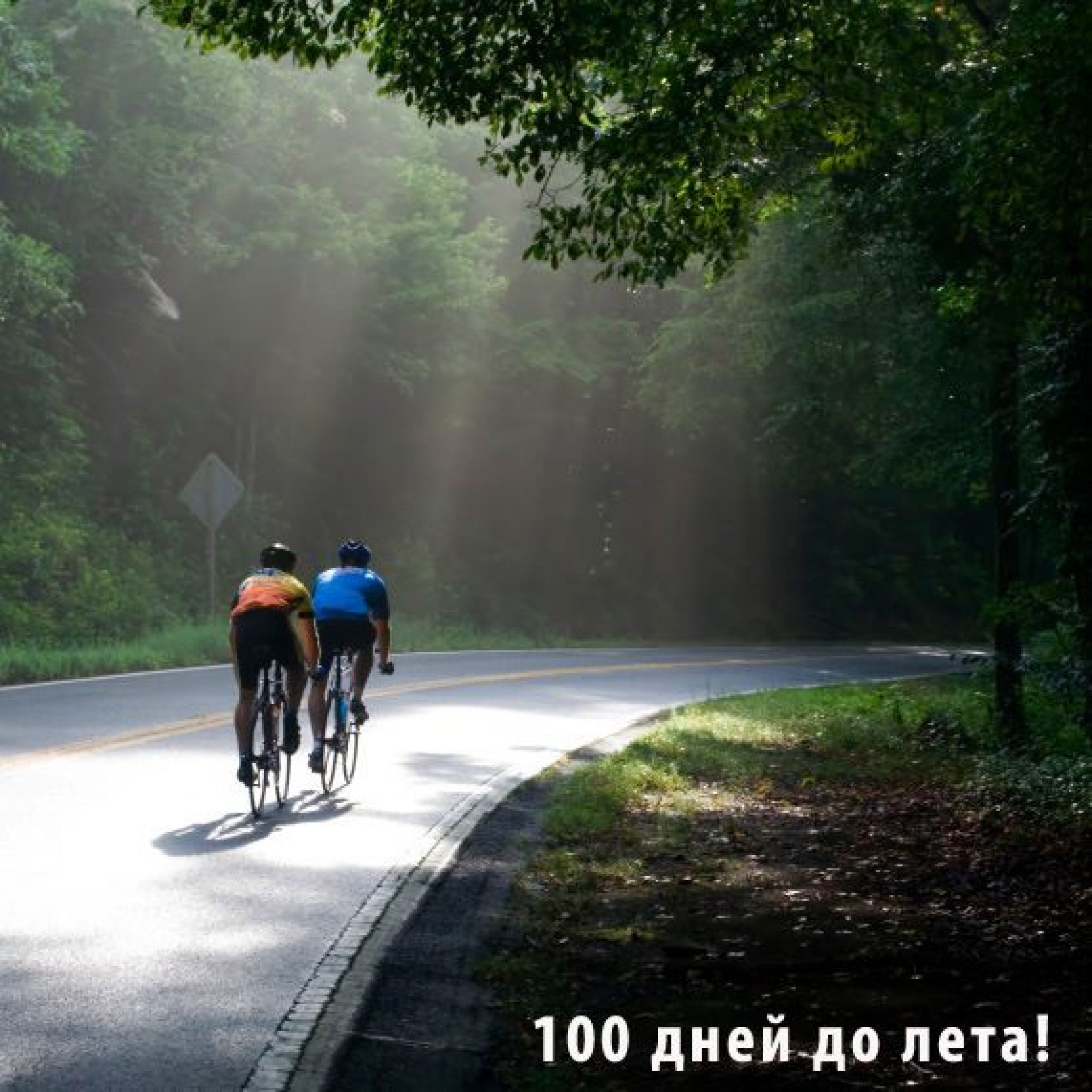 Едущий на велосипеде велосипедист. Велосипедист на дороге. Велосипедная дорожка в лесу. Велосипедист в лесу. Велопрогулки.